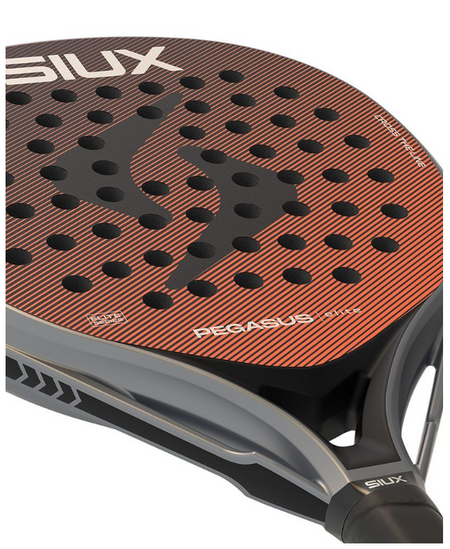 Siux Pegasus Elite 4 2026 - Padel One